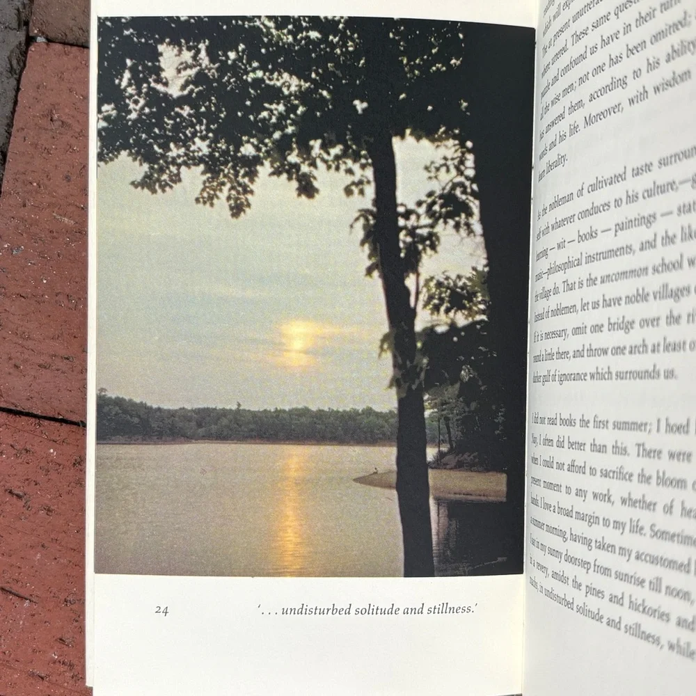1968 Reflections at Walden Pond Henry David Thoreau Color Photo Nature Woods - Picture 4 of 9